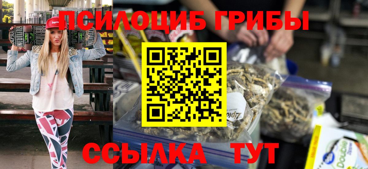 Псилоцибиновые грибы Psilocybe  Вход с VPN  Лобня 